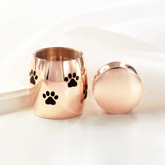 Paw Print Memorial Mini Urn