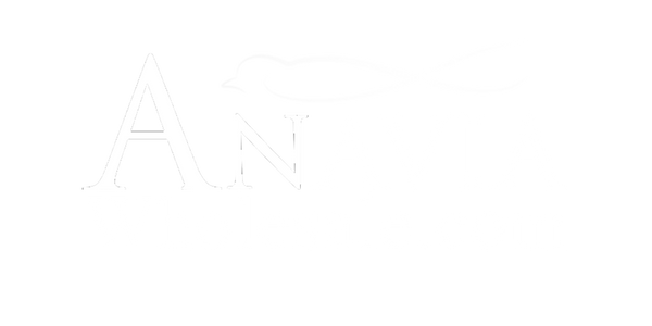 Anavia Wholesale