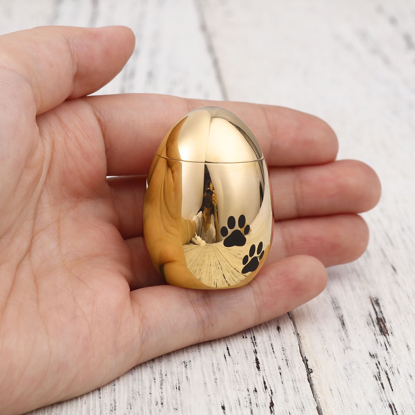 Paw Print Egg Shaped Memorial Mini Urn